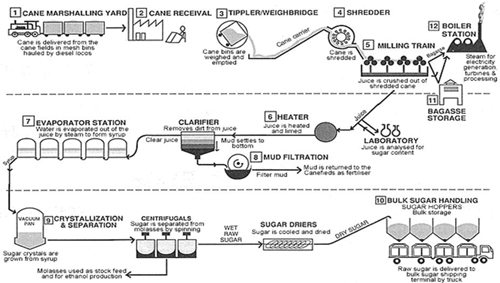 Processes in Sugar Industry